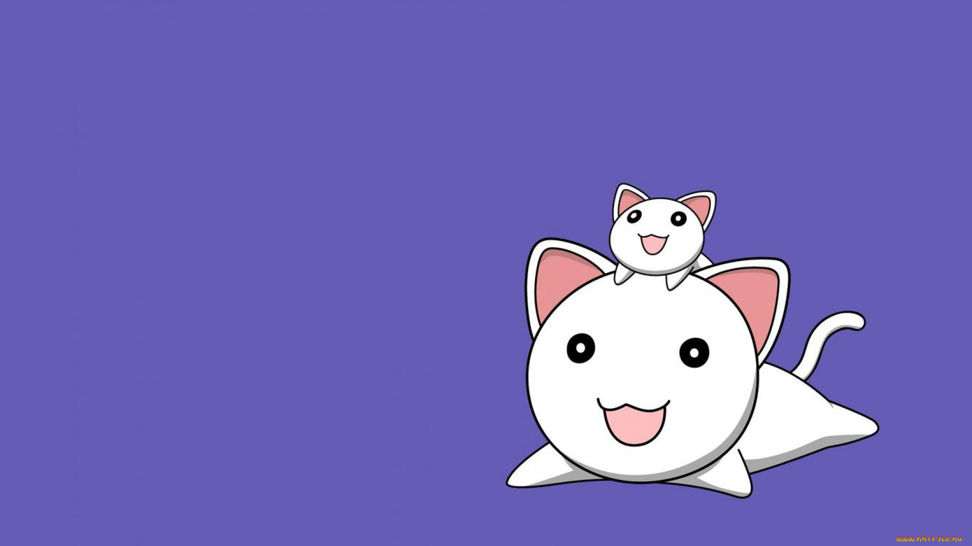 , , koneko, 